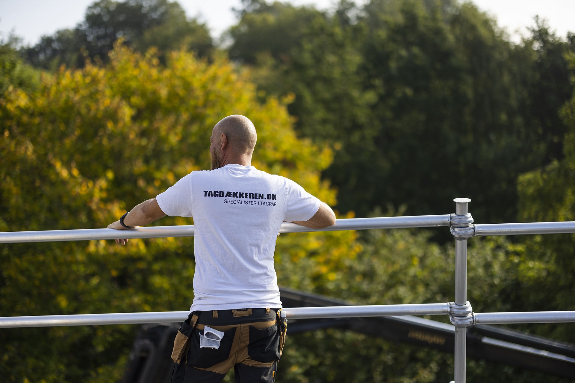 Sedumtag - en økonomisk løsning